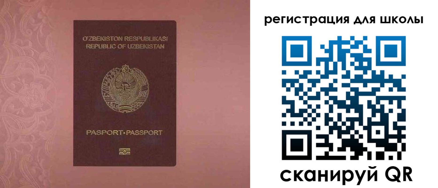 прописка для школы в Кировске