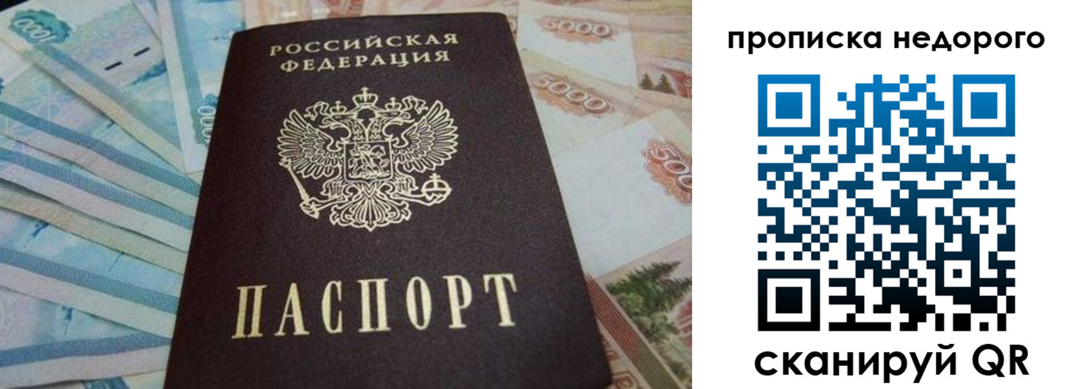 временная регистрация поиск в Кировске