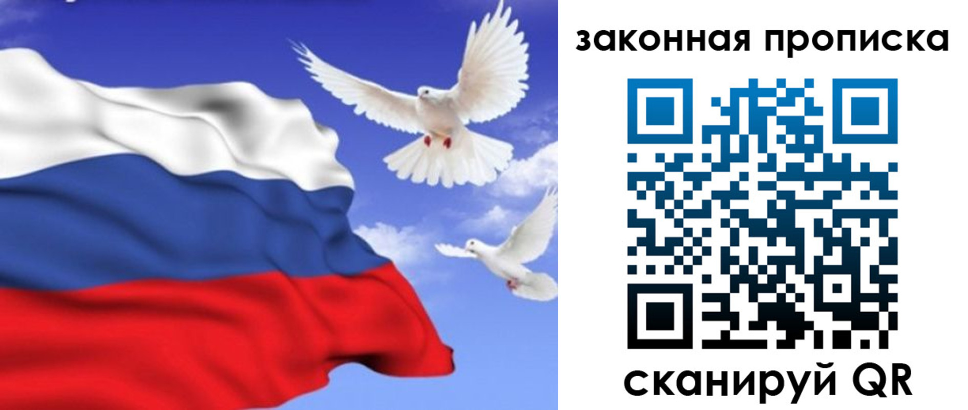 регистрация в Кировске